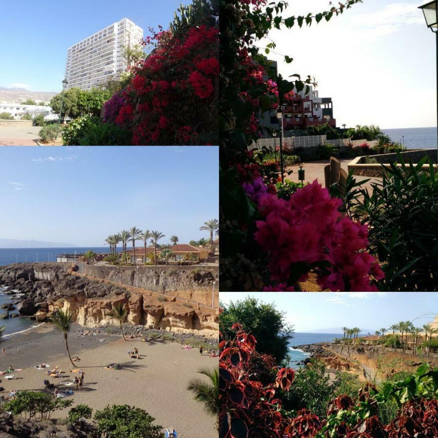 Elena Studio Costa Adeje  Buitenkant foto